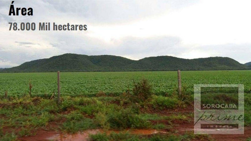 Imagem 10 de 10 de Fazenda Bodoquena À Venda - Corumbá/ms - Fa0029