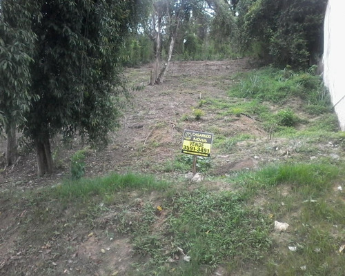 Imagem 11 de 14 de Terreno Na Taquara ( Jacarepaguá ) Ci1125
