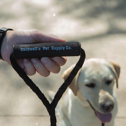Instecho Collar De Entrenamiento Para Perro, 100% Resistente