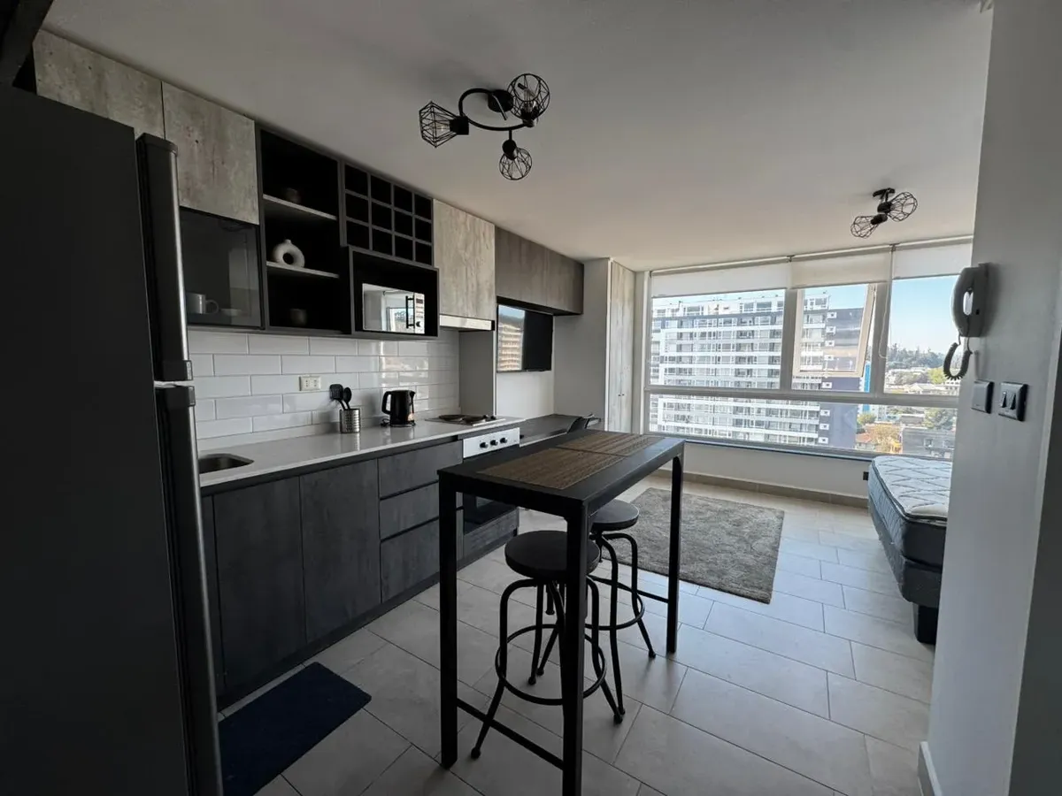 Imagen 5 de 11 de Inversión: Studio Arrendado En Maipú, Concepción