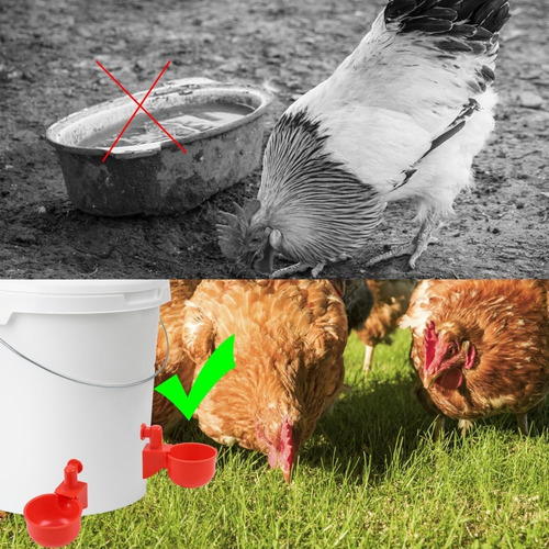 Bebedero Automático Para Pollos Gallo Codorniz Aves 13 Pcs