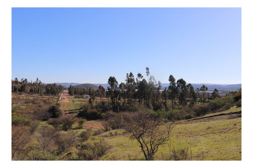 Imagen 24 de 24 de Terrenos Con Amplias Vistas Norte Lomas Suaves