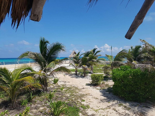 Imagen 12 de 18 de En Venta Terreno Comercial En Solidaridad Quintana Roo