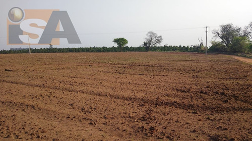 Imagem 5 de 7 de Área Em Jacutinga - Águas De Santa Bárbara, Sp - 3828