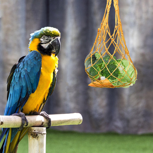 Red De Alimentación Para Loros Bird Toys, Bolsa De Malla