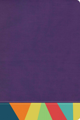Imagen 1 de 1 de Biblia De Estudio Arcoiris Morado Multicolor Rv1960