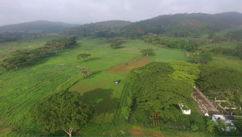 Finca De 58 H.a 90% Plana En Bejuma - Carabobo Blk