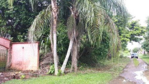 Bom Terreno Perto Do Mar No Cibratel 2 - Itanhaém 5236 | Npc
