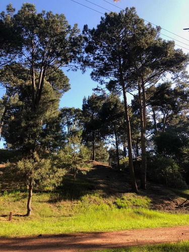 Terreno En Club Del Lago. 1471 M2