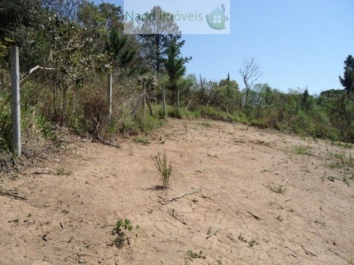 Imagem 10 de 15 de Terreno À Venda, 2500 M² Por R$ 100.000,00 - Fazenda Primavera - Jarinu/sp - Te0004