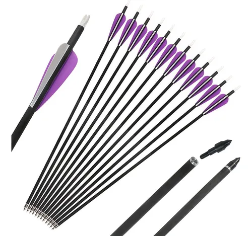 Flecha 32 Inch Carbon Punta Removible X 12 Violeta Blanco