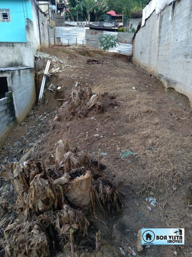 Imagem 3 de 5 de Terreno Em Rua - B0572-v