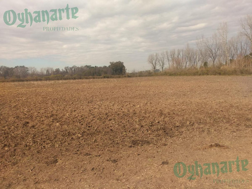 Imagen 19 de 21 de Venta De Campo De 23 Hectáreas En General Rodriguez.