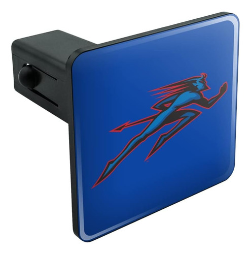 Depaul Primary Logo Tow Trailer Hitch Cover Plug Insert 1 1/