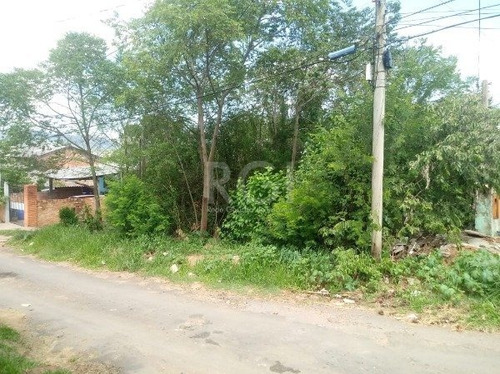 Terreno Em Hípica - Mi270533
