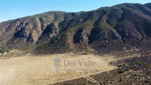 Imagen 6 de 7 de 10 A 40 Ha A Un Costado De La Cetto En Valle De Guadalupe