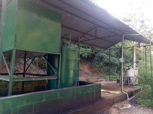 Finca Productiva En Güigüe, Carabobo En Venta - Inmobiliaria Maggi 1222