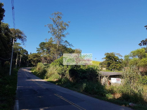 Imagem 10 de 12 de Sítio Rural À Venda, Caixa D´água, Vinhedo. - Si0009