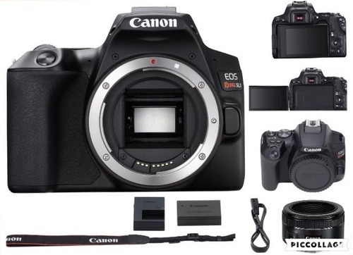  Canon EOS Rebel SL3 50mm STM Kit DSLR