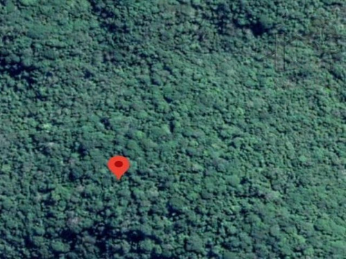 Imagem 10 de 12 de Cod 6025 - Bela Área Medindo 40 Mil Metros - 6025