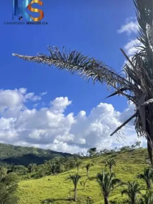 Hacienda-Finca en venta