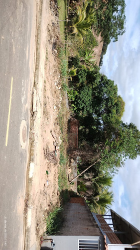 Lote Bruninha Em Belo Horiente