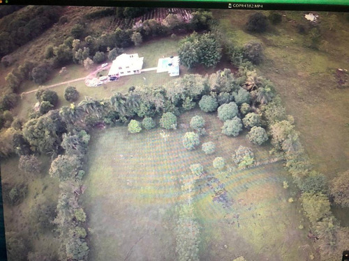 For Sale Finca En San Jose De Los Llanos San Pedro De Macoris De 1214 Tareas Ganader Y Coco