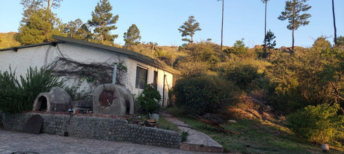 Imagen 20 de 29 de Venta De Campo + Vivienda En Athos Pampa - Tlc0609