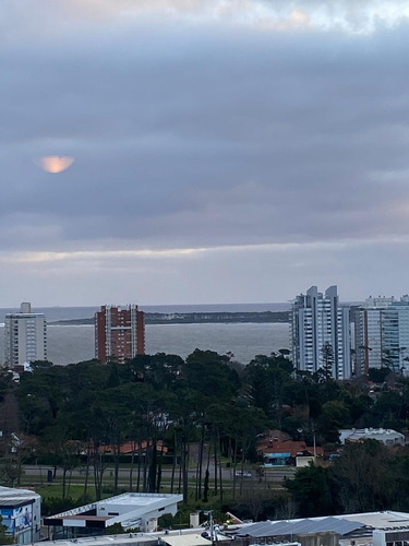 Imagen 6 de 12 de Frente A Punta Shopping Con Todos Los Servicios