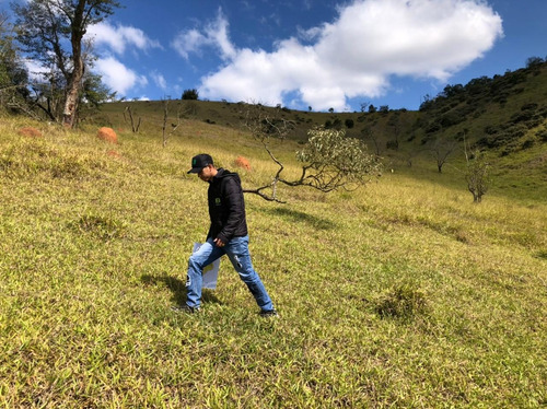 Imagem 12 de 14 de E09- Terreno Bom Para Moradia Ou Investimento