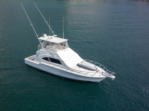 Bertram 51