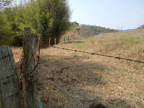 Imagem 2 de 14 de Excelente Área De Terras, Bom Acesso, Local Tranquilo