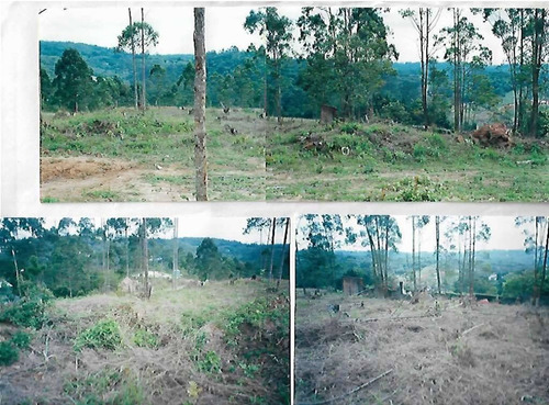 Imagem 4 de 7 de Terreno Em Invernada, Embu Das Artes/sp De 1550m² À Venda Por R$ 380.000,00 - Te1965959-s