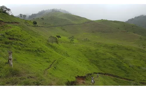 Se Vende Finca Naranjal - Roldanillo