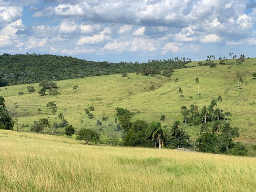 R16- A Venda Em Jacareí,terrenos 1000m