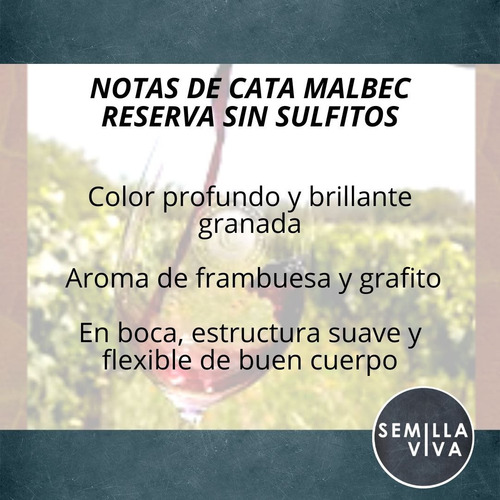 Imagen 2 de 10 de Vino Orgánico Malbec Reserva Cecchin X 750 Cc - Sin Sulfitos