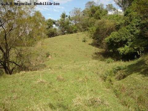 Imagem 4 de 13 de Área, Venda, Brigadeiro Tobias - Sorocaba/sp - Ar00539 - 2673721