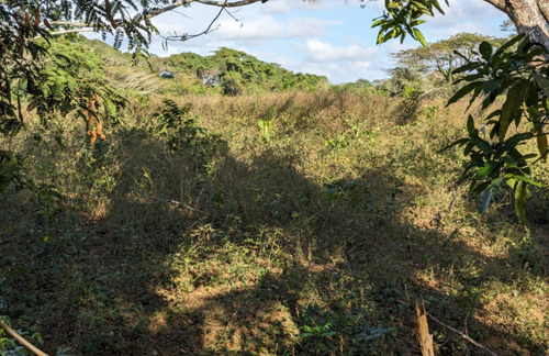 Terreno (finca) En Venta En San Francisco De Macorís
