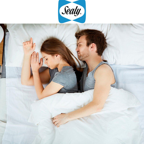 Colchón Queen Size Sealy Tecnología De Gamma Posture Foam Color Gris