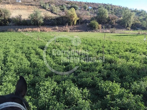 Agrícola En Venta En Combarbalá