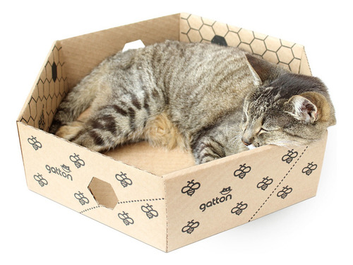 Caixa Hexagonal De Papelão Beebox Para Gatos