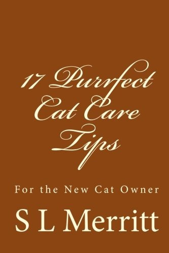 17 Purrfect Cat Care Tips For The New Cat Owner