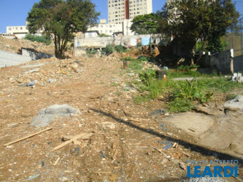 Imagem 3 de 7 de Terreno - Saúde - Sp - 600766