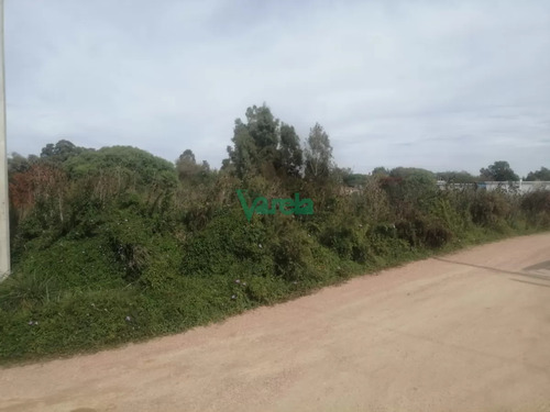 Terreno Sobre Cno. Los Horneros. Frente A Latahona
