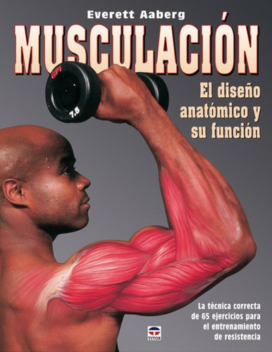 Musculación: El Diseño Anatómico Y Su Función