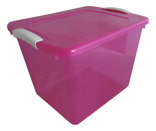 Caja Organizadora Wenbox Con Trabas Laterales 28 Lts. Wenco