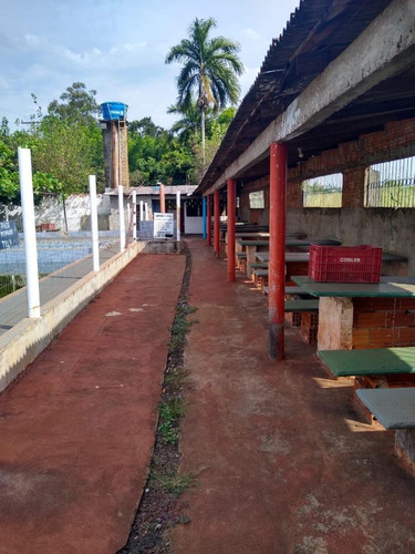 Imagem 5 de 8 de Chácara Com 2 Dormitórios À Venda, 3 M² Por R$ 700.000,00 - Vila São Sebastião - Foz Do Iguaçu/pr - Ch0004