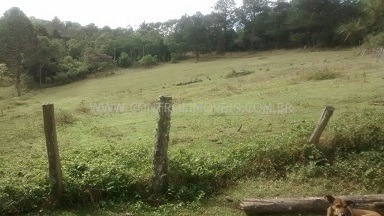 Imagem 9 de 17 de Rural - Ref: 01595