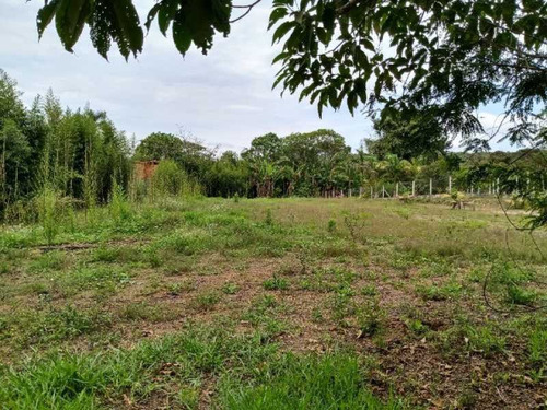 Imagem 4 de 8 de Lote Plano - Bilt00097
