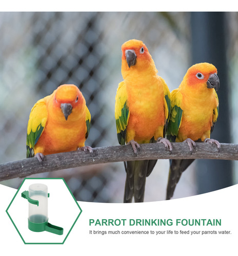 Dispensador De Agua Para Loros Para Mascotas, 10 Unidades, B